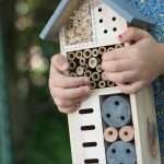 insect bungalow girl holding project