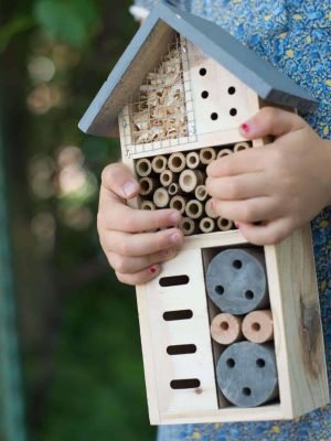 insect bungalow girl holding project